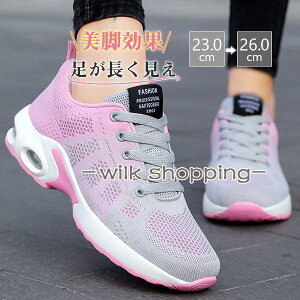  Xj[J[ fB[X D^ wlC _CGbg V[Y Ȃ y EH[LO X|[c bV ₷ WMO ^C