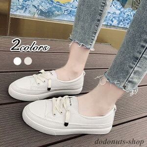 Xj[J[ fB[XV[Y [Jbg C ₷ tbgV[Y   ʋ ʊw  