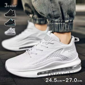 Xj[J[ Y jOV[Y fB[X X|[cV[Y EH[LO  V[Y jp Ȃ y ʊw ʋ    