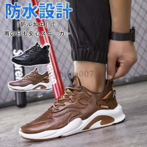 Xj[J[ Y h  Jp Ռz ʊw^C  ɂ  JWA AEghA Lv Xj[J[