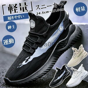 Xj[J[ Y JWAV[Y C EH[LOV[Y X|[c ^  Vv ʋC y _炩 Ȃ am t