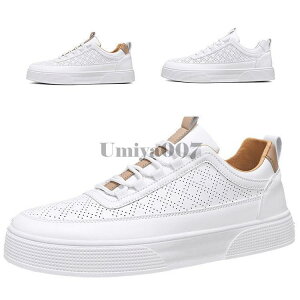 Xj[J[ Y zCg tFCNU[Xj[J[ C V[Y ʋC 2024 t@bV