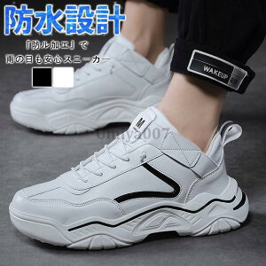 Xj[J[ Y h  Jp Ռz ʊw^C  ɂ  JWA