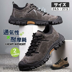 SC Xj[J[ Y ƌC ϖ hh _炩 ϊ\[ [NV[Y jp ^ y ϖ Ռz H  tR[f