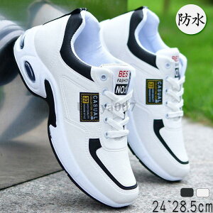 Xj[J[ Y h  y Jp jp hV[Y Ռz ʊw^C 