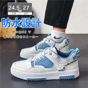 Xj[J[ Y h  Jp Ռz ʊw^C  ɂ  JWA