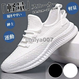 Xj[J[ Y  JWAV[Y C EH[LOV[Y X|[c ^  Vv ʋC y _炩 Ȃ am t