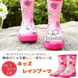 Cu[c LbY q qC ̎q V[g h JWA ɂ ԕ sN C JC ʉ ʊw  傫TCY