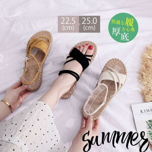 T_ fB[X T}[T_ q[T_ Xbp [V[Y p Ȗ ʋC ؍ ɂ ₷ 킢