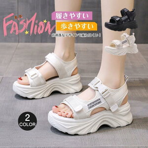 T_ fB[X X|[cT_ T}[T_  nCq[ ₷ ؍ ₷ ɂ AEghA 킢