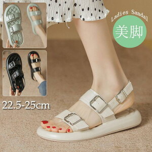 T_ V[Y ItBXT_ fB[X  ubN r[`T_ AEghA T_ ɂ Vv Ȃ r ₷