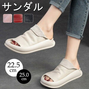 T_  fB[X Xj[J[ Xbp r X|[cT_ Vv JWA l T}[V[Y  r[`T_