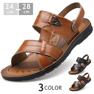 T_ Y ꃌU[ T_ [}OfBG[^[ r[`T_ăA X|[c y ₷ ₷  ȂAEghA