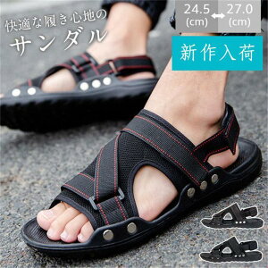 T_ Y r[`T_ Y ɂȂ ăT_ C JWAV[Y 傫TCY ĐV C  y