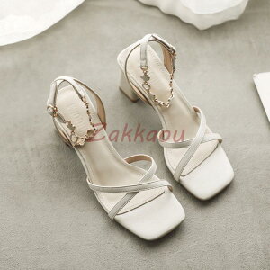 fB[X T_@ā@T}[T_@@C r[T T{T_  ₷@JWA  ɂȂ r