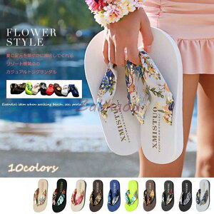 gOT_ fB[X r[`T_ y {w~AT_ ][gXbp