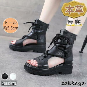 T_ {v obNt@Xi[ fB[X  EFbW EFbW\[ ʋ ₷ [XAbv V[Y  r C RtH[g