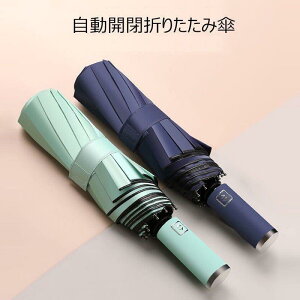 ܂肽ݎP Y/fB[X JP JpP amp rWlXP 10{ Oi܂肽ݎP 傫P UVJbgSՌ P JP ~J΍ ϋ