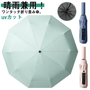 ܂肽ݎP J ^b` 10{ y Jp uvJbg   ^ JP P Ռ O΍ fB[X Y 傫
