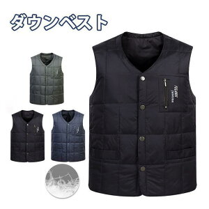 _ExXg WPbg Y fB[X Cg_E Ȃ W Ci[_E H y h  AEghA yoR VlbN