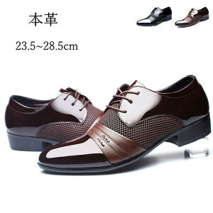 rWlXV[Y Y hXV[Y JWAV[Y [t@[ Xb| vC C  ʋC h  amC  