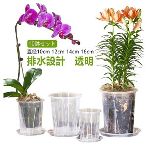 �ϗt�A���̐A���ւ� 12cm �X���b�g�� ������h�~ 16cm ���a10cm �A�ؔ� �Ӓ�����p �Ӓ����̐A���ւ� ��M�t�� 10���Z�b�g �X���b�g �� �A���ւ� 14cm ���������锫 �N���A �ϗt�A���̔� �v���X�`