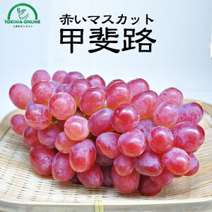 Ԃǂ bH RY  1kg 1~2[  hV̓ Mtg  ފ i Cj t[c ʕ  ʔ HR_
