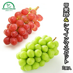 bH VC}XJbg 킹 2[ 1kg  Ȃ Ԃǂ 炲ƐHׂ ʕ RY AvXY ʕ t[c hV̓ Mtg _ HR_