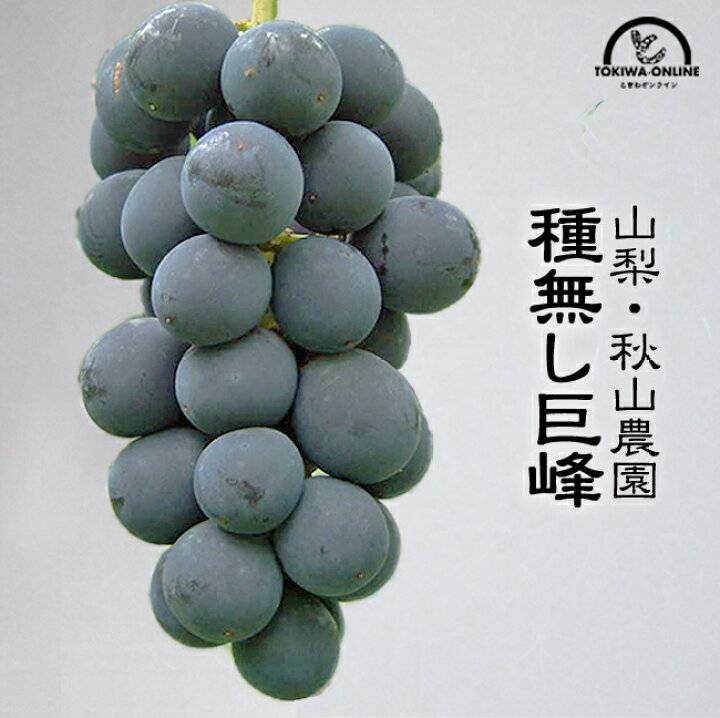 ぶどう 種なし 巨峰 種無し Jaフルーツ山梨 送料無料 きょほう 約600g 1房 露地栽培 山梨県産 産地直送 ぶどう 種なし 巨峰 種無し Jaフルーツ山梨 送料無料 きょほう 約600g 1房 露地栽培 山梨県産 産地直送