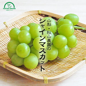 VC}XJbg 3kg 5~6[ R Yn  Mtg  \ hV̓ ފ  i ʕ 蕨 HR_ GRt@[}[ _