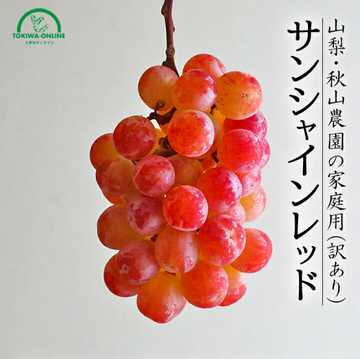 楽天市場】サンシャインレッド 訳あり 1kg 2~4房 家庭用 山梨 農家直送 