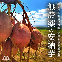 楽天市場】無農薬 サツマイモの通販