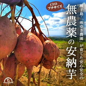 [ [g v` 5kg 󂠂 q 3s т _   Tc}C J䂫_