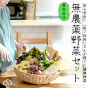 無農薬 野菜 農家直送 10品目 安心安全 有機野菜詰め合わせ 大阪 西日本 産地直送 笑ノ百姓 笑の百姓