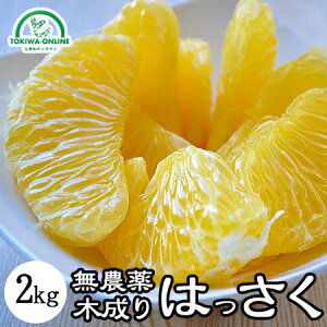  ͂ 2kg  _ ؐ a̎RY _ ʕ m[bNX S S O[WNV