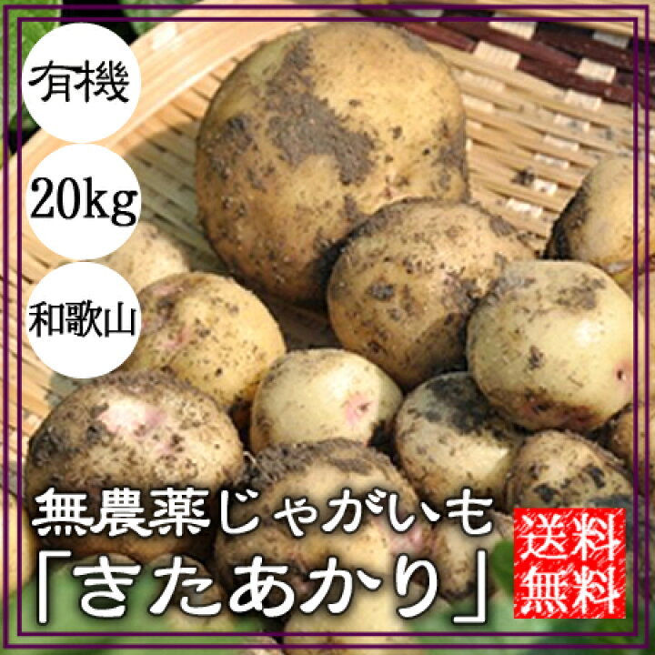 楽天市場】無農薬じゃがいも（きたあかり）20kg【送料無料】自然栽培 
