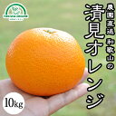 清見オレンジ 清見タンゴール みかん 10kg 送料無料 無農薬 和歌山 産地直送 グリーンジャンクション