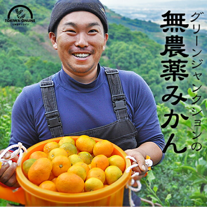 楽天市場】みかん 無農薬 10kg 送料無料 農薬 防腐剤 不使用 ノー 