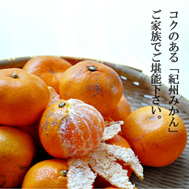 楽天市場】みかん 無農薬 10kg 送料無料 農薬 防腐剤 不使用 ノー 