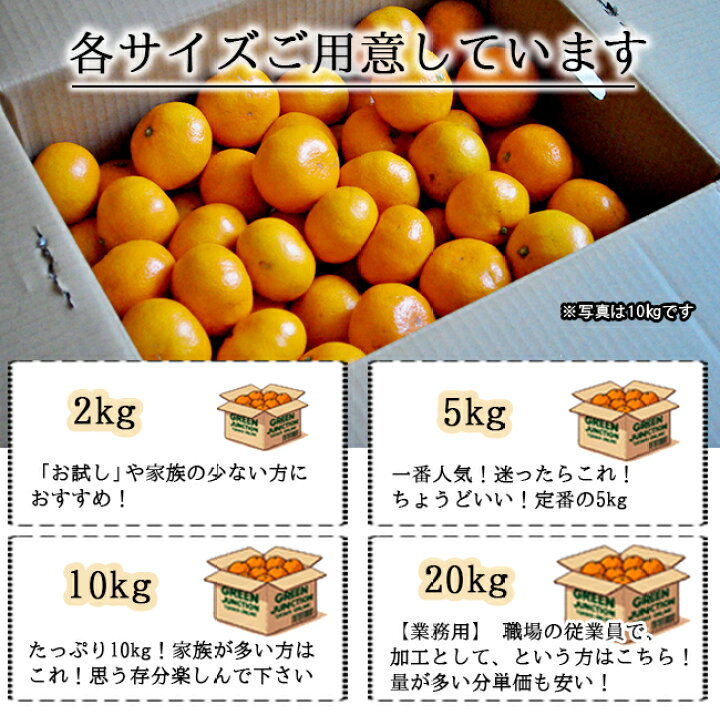 楽天市場】みかん 無農薬 10kg 送料無料 農薬 防腐剤 不使用 ノー 