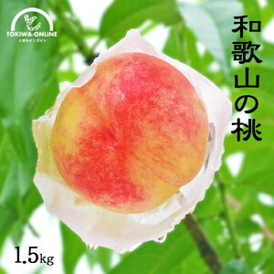 ���̓� �� ���_�� ������ �a�̎R �M�t�g �Y�n���� 1.5kg �䒆�� ���蕨 �v���[���g �_������ ���P ���씒�P �쒆�����P ���� �O���[���W�����N�V����