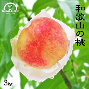 ���̓� �� ���_�� �a�̎R �M�t�g �Y�n���� 3kg ������ �䒆�� ���蕨 �v���[���g �_������ ���P ���씒�P �쒆�����P ���� �O���[���W�����N�V����