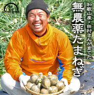 たまねぎ 無農薬 送料無料 10kg 農園直送 話題の酢玉ねぎやいろんな料理に使える 有機肥料のみ使用 玉ね…