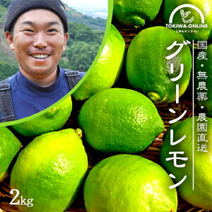 無農薬 レモンの人気商品 通販 価格比較 価格 Com