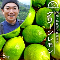 レモン 無農薬 国産 5kg 送料無料 グリーンレモン 青レモン ノーワックス 除草剤不使用 有機栽培 和歌山…