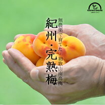 楽天市場】無農薬 南高梅 5kgの通販