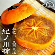柿 和歌山 紀ノ川柿 11〜15玉入 約4kg 送料無料 無農薬 果物 くだもの 和歌山の柿 種無し 紀の川柿 紀ノ…