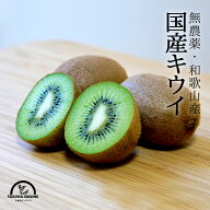 キウイ キウイフルーツ 無農薬 国産 送料無料 5kg 産地直送 和歌山産 ホルモン剤不使用 農園直送 有機栽…