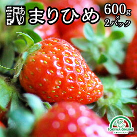 いちご イチゴ 訳あり まりひめ 農家直送 1200g前後 2パック 送料無料 和歌山 農園直送 産地直送 まり姫 マリヒメ グリーンジャンクション