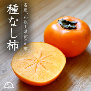 _ ` 햳 10kg a̎R ʕ j` J   JL O[WNV